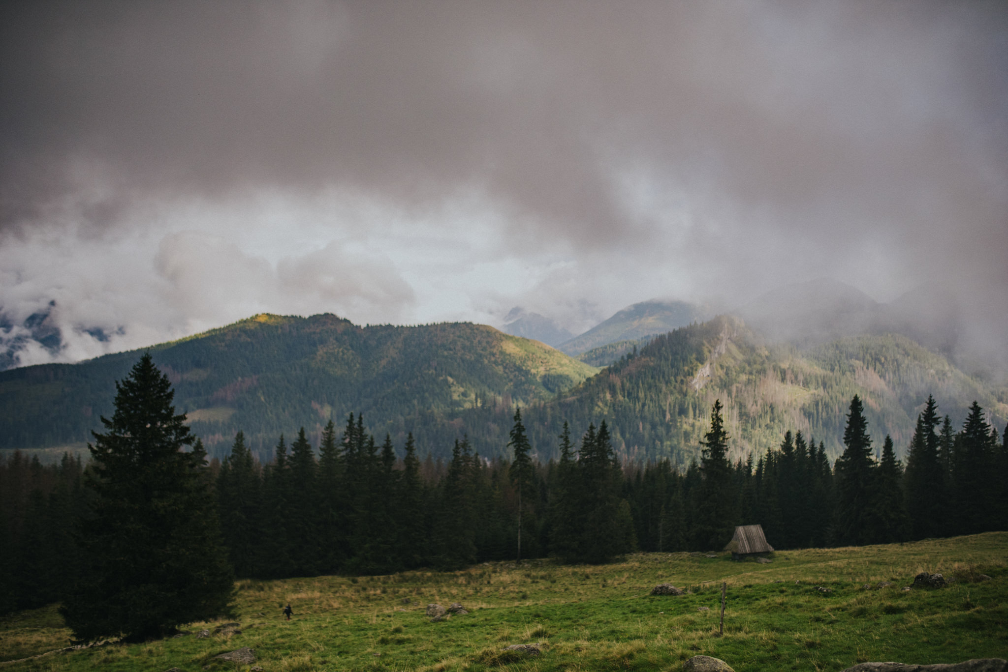 Sesja rodzinna w Tatrach