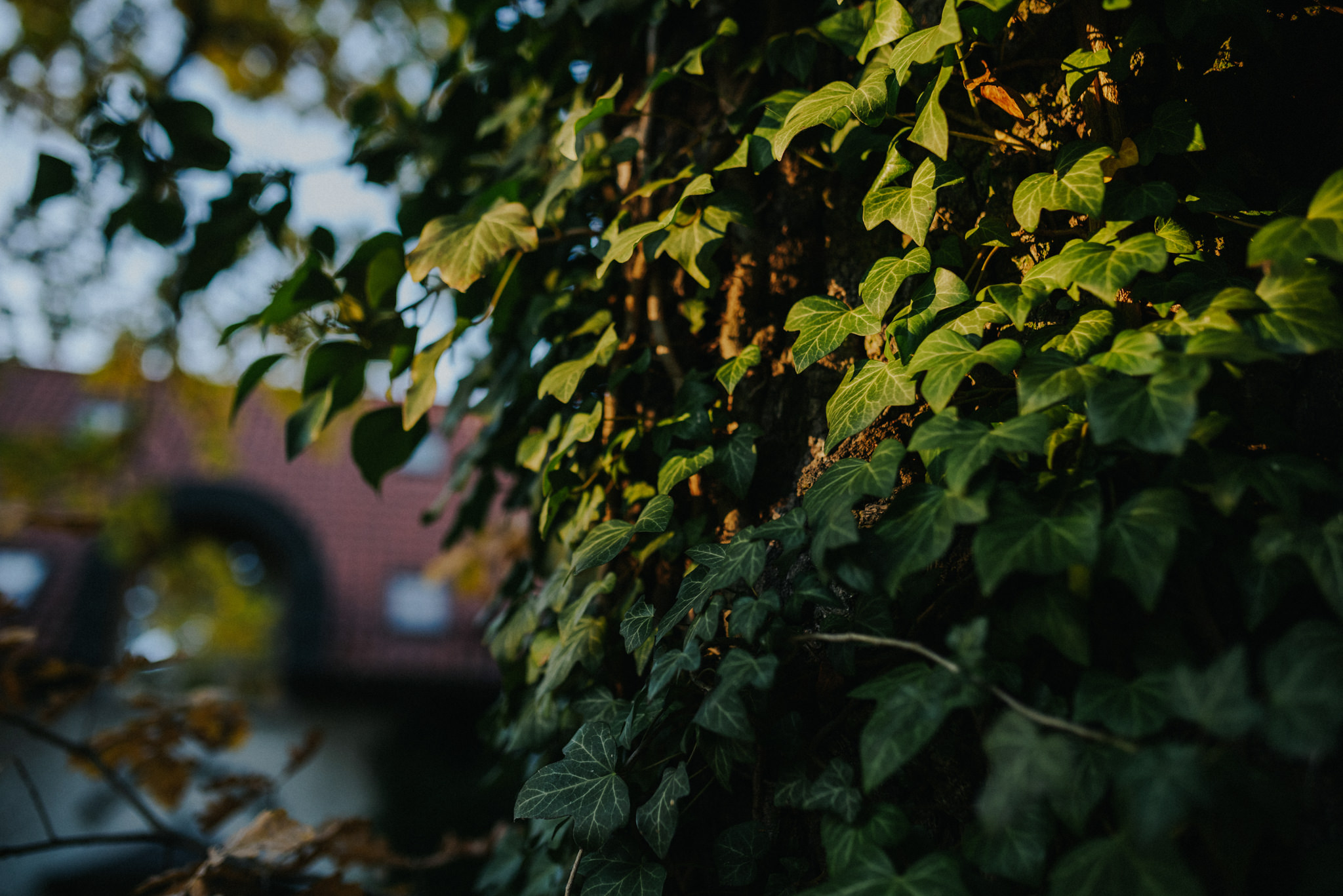 Karolina + Oskar | Słoneczny Brzeg Zawady