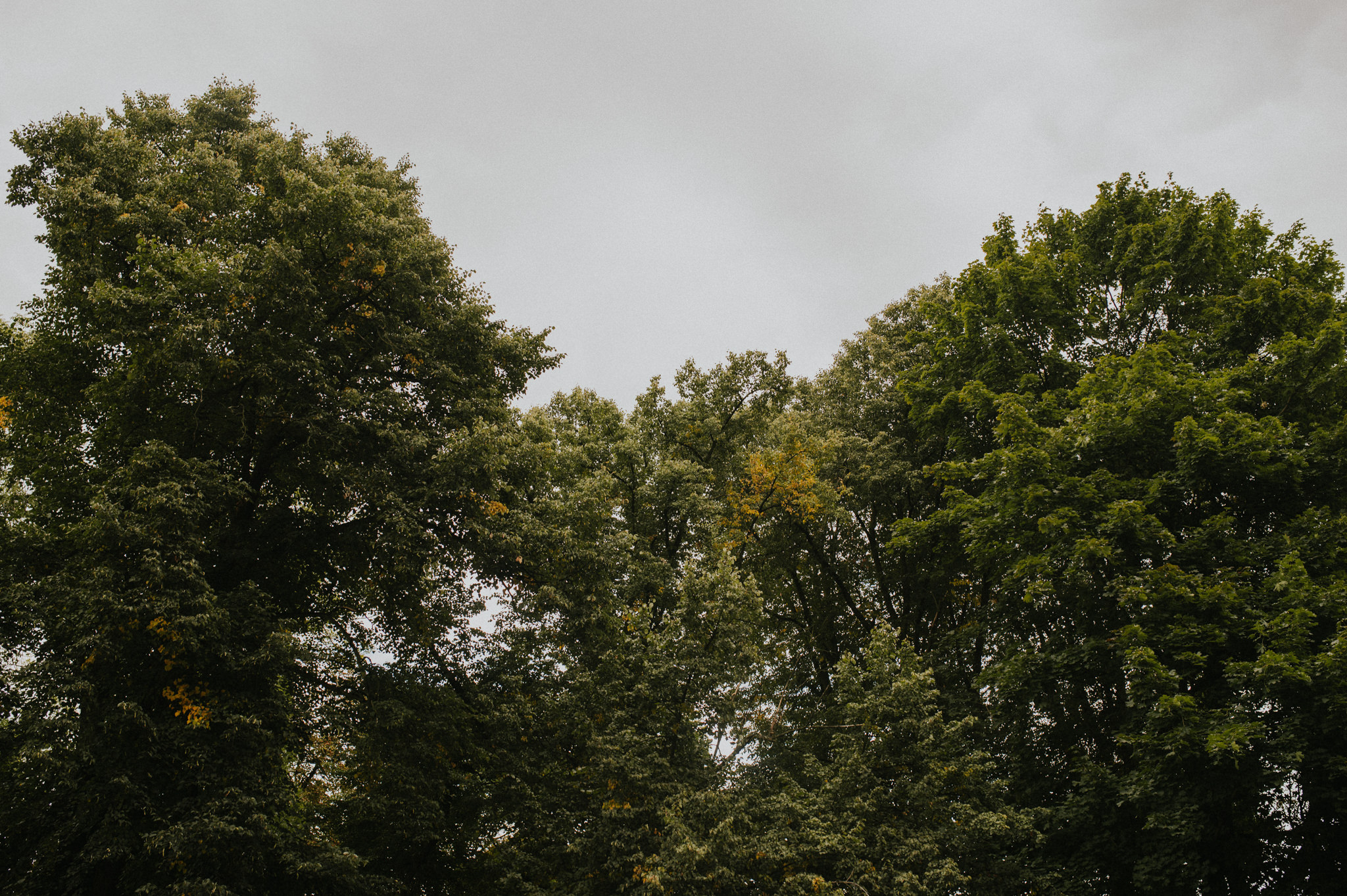 Sesja rodzinna pokoleniowa | Fotografia rodzinna Częstochowa