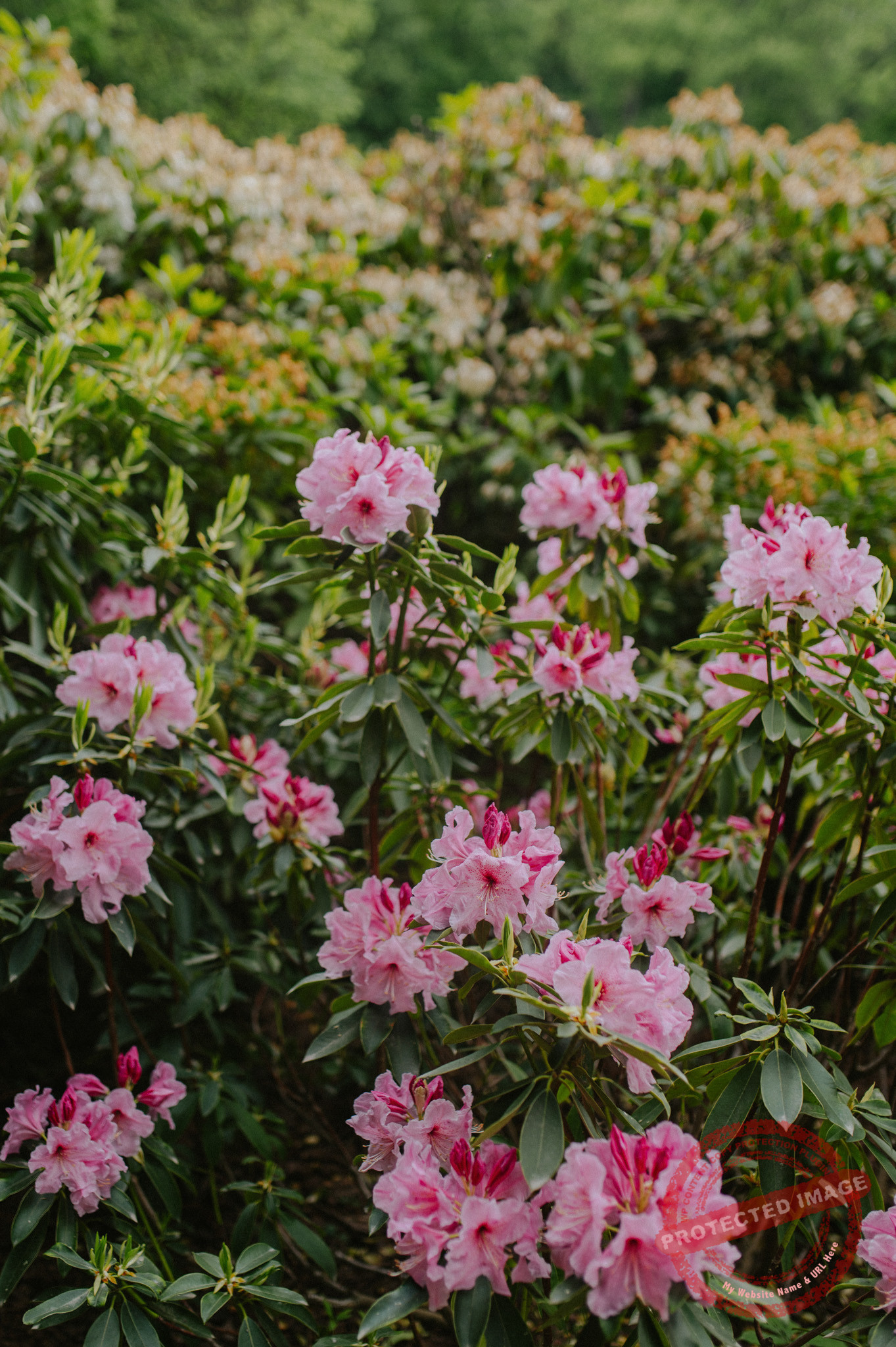 Aleksandra + Michał | Sesja narzeczeńska w Warszawie
