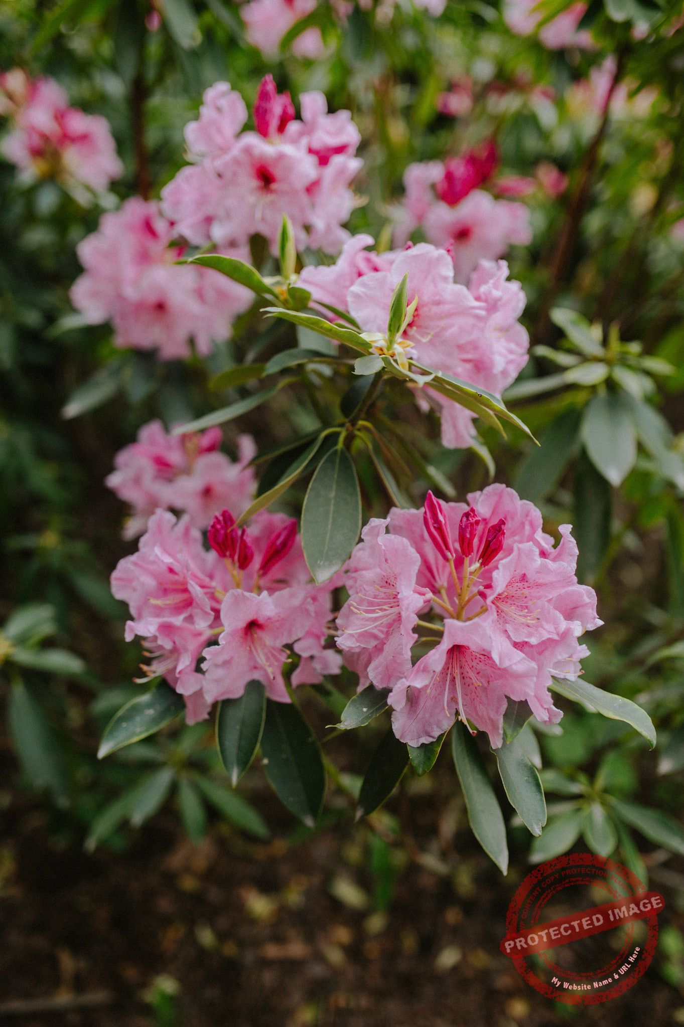 Aleksandra + Michał | Sesja narzeczeńska w Warszawie