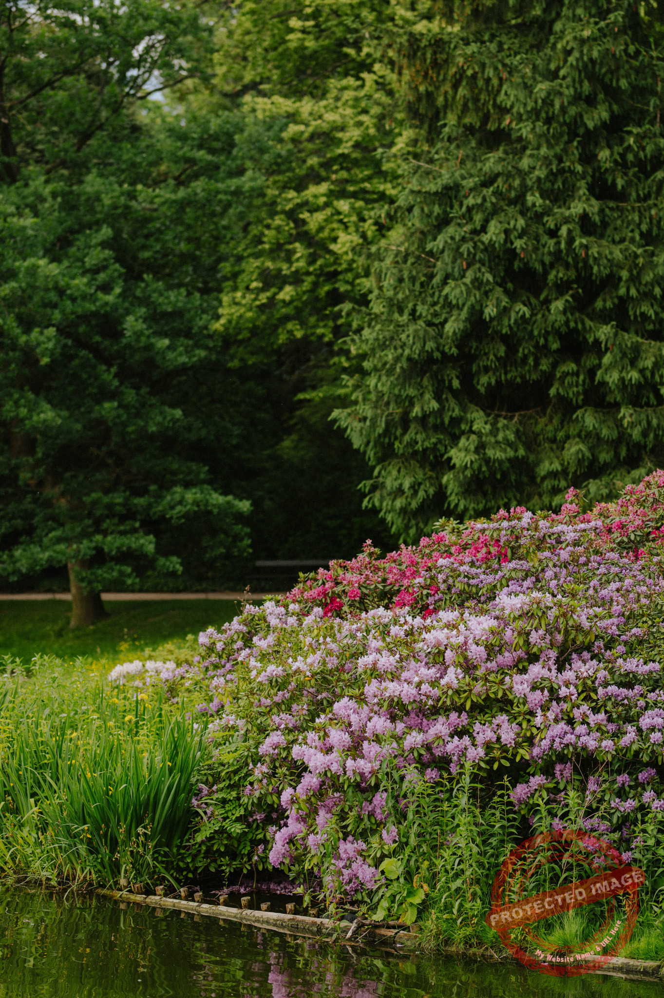 Aleksandra + Michał | Sesja narzeczeńska w Warszawie