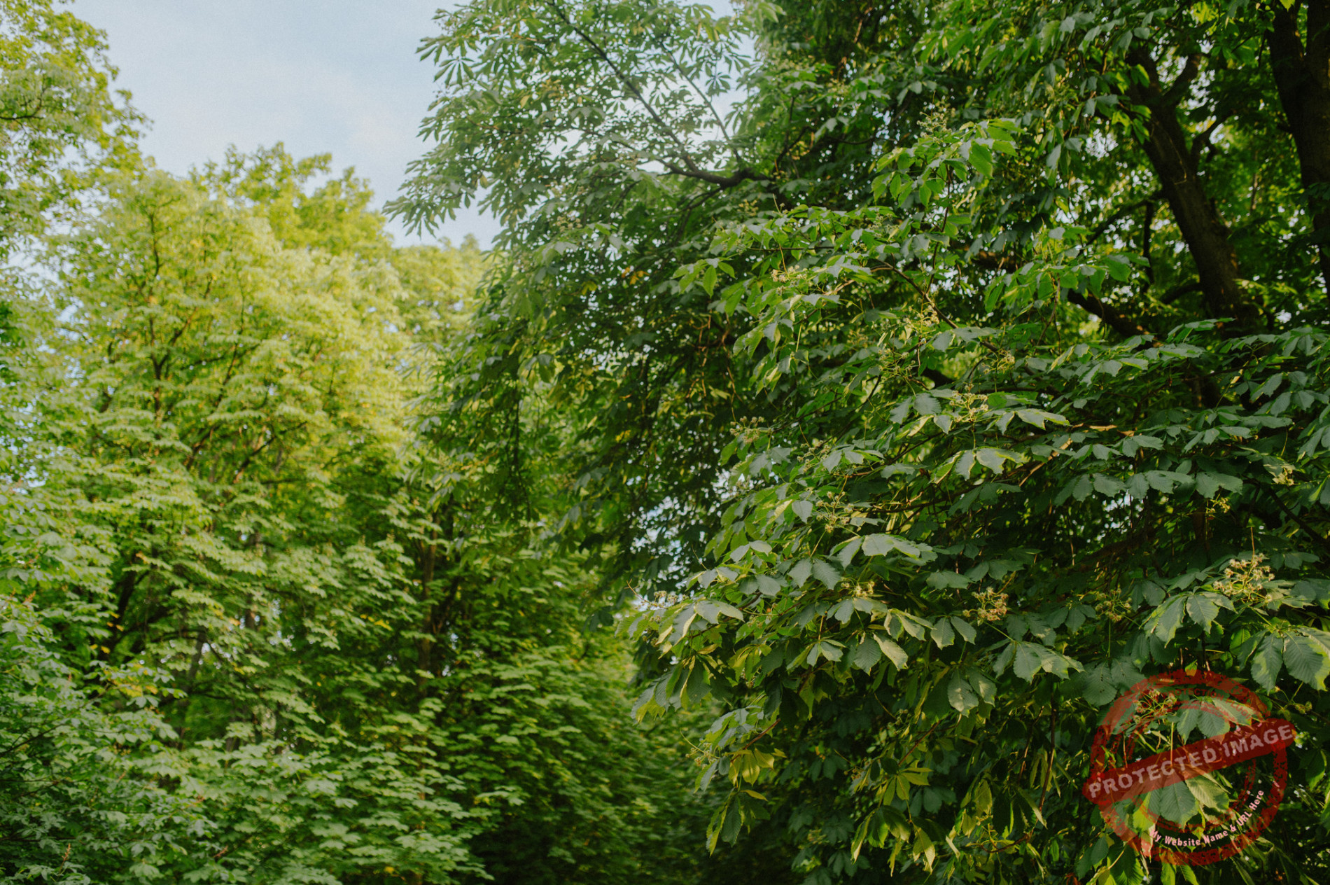 Aleksandra + Michał | Sesja narzeczeńska w Warszawie