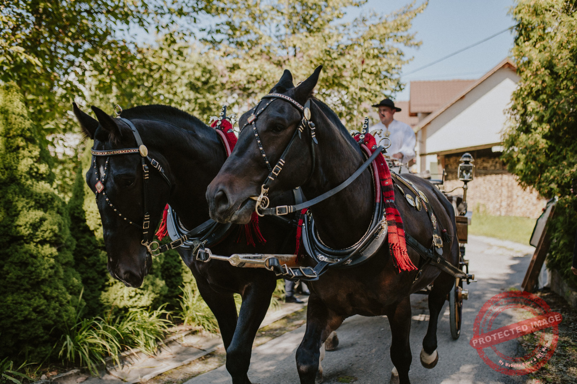 Weronika + Marcin | Góralskie wesele Siwy Dym Rabka-Zdrój