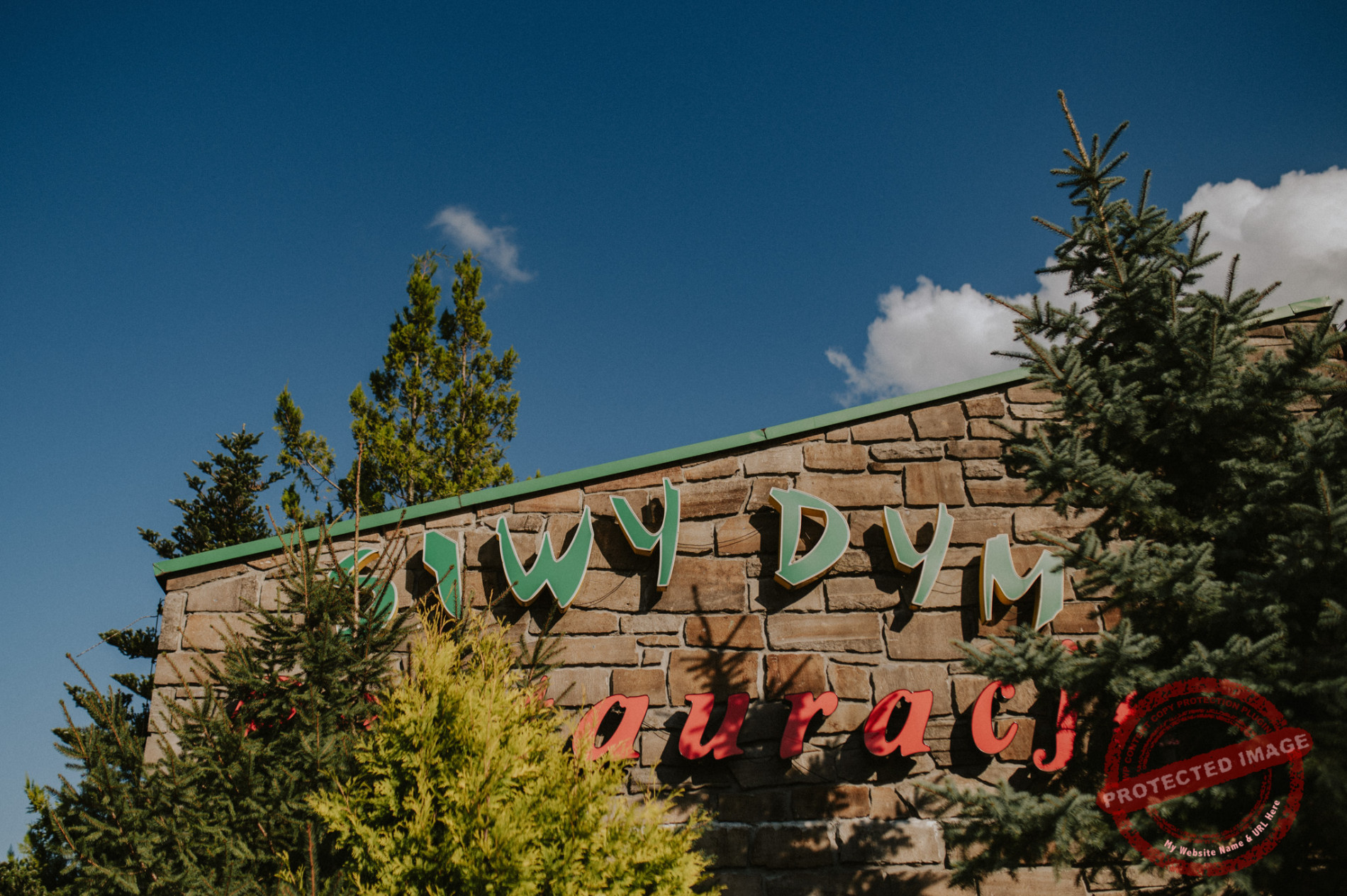 Weronika + Marcin | Góralskie wesele Siwy Dym Rabka-Zdrój