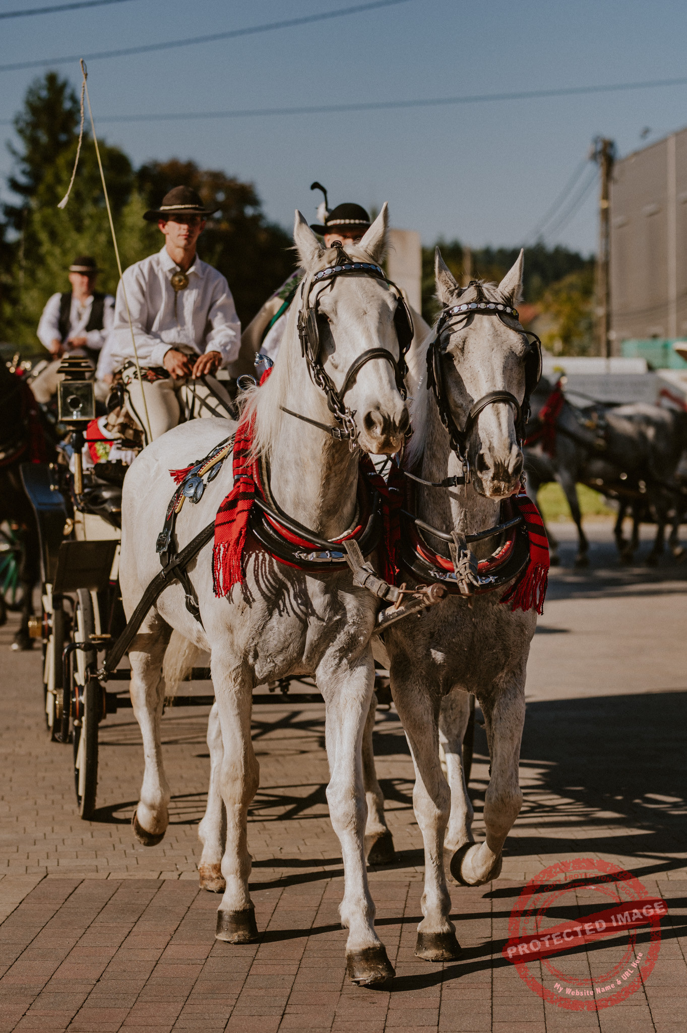 Weronika + Marcin | Góralskie wesele Siwy Dym Rabka-Zdrój