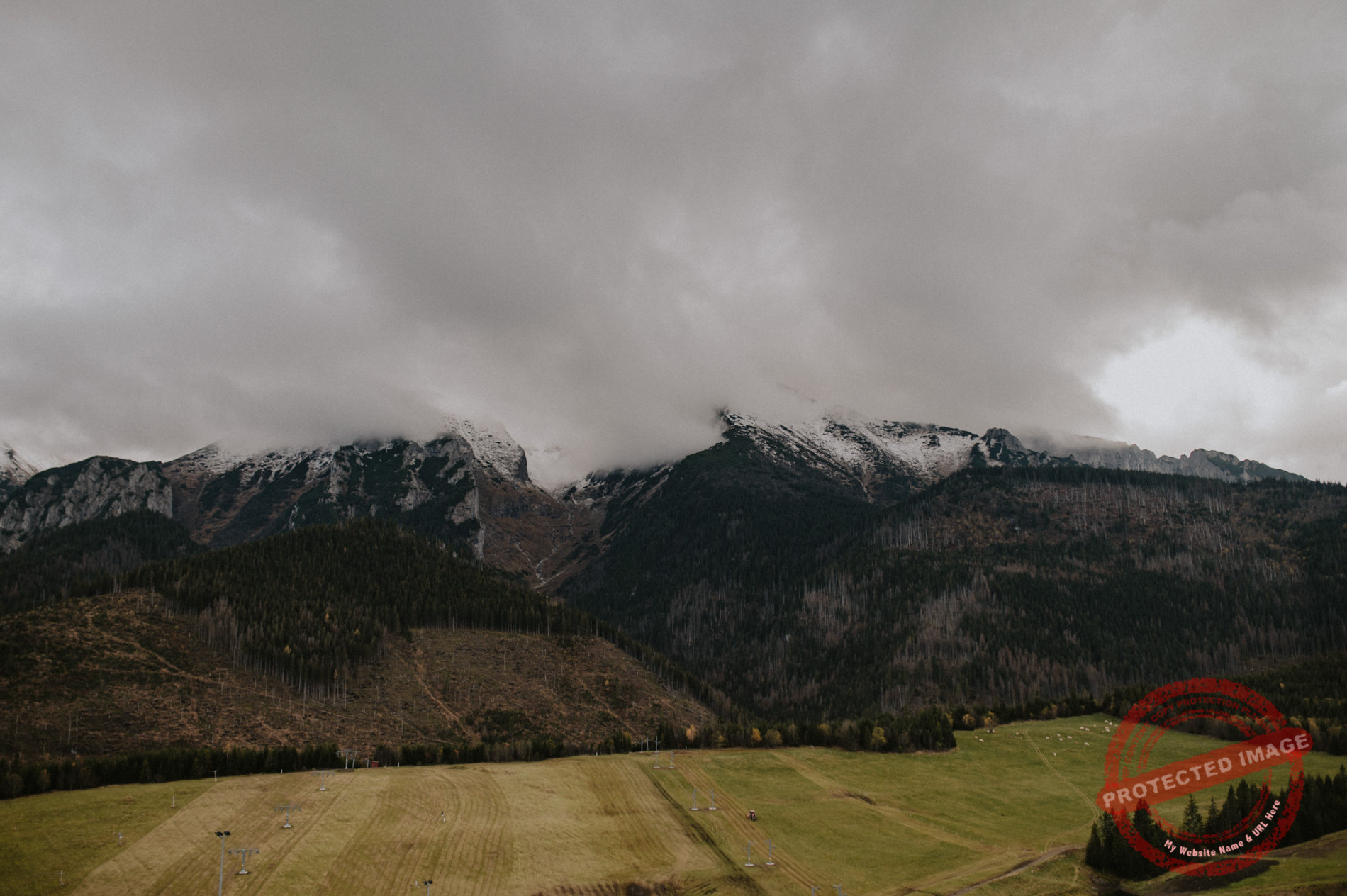 Weronika + Marcin | Sesja ślubna w Tatrach