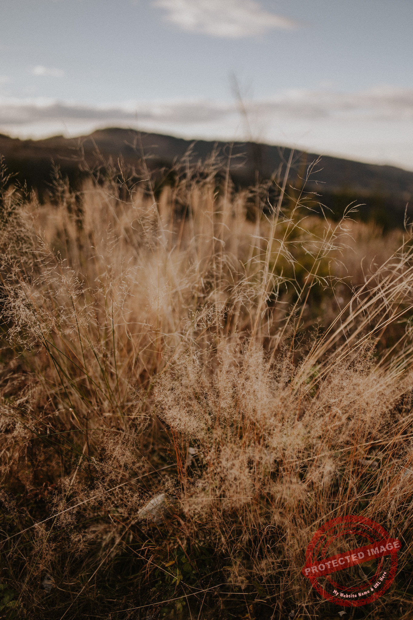 Weronika + Marcin | Sesja ślubna w Tatrach