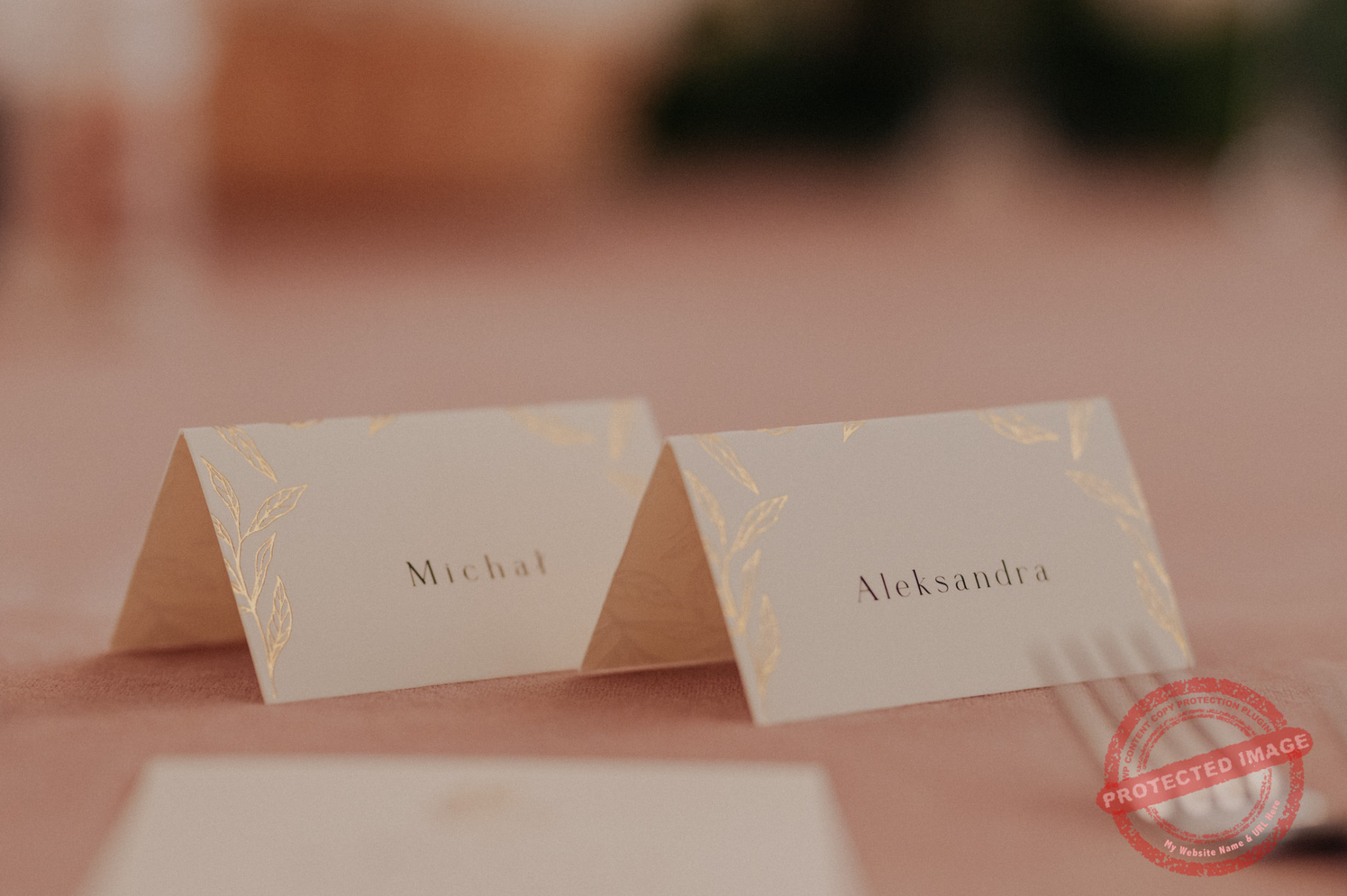 Aleksandra + Michał | Dwór Złotopolska Dolina