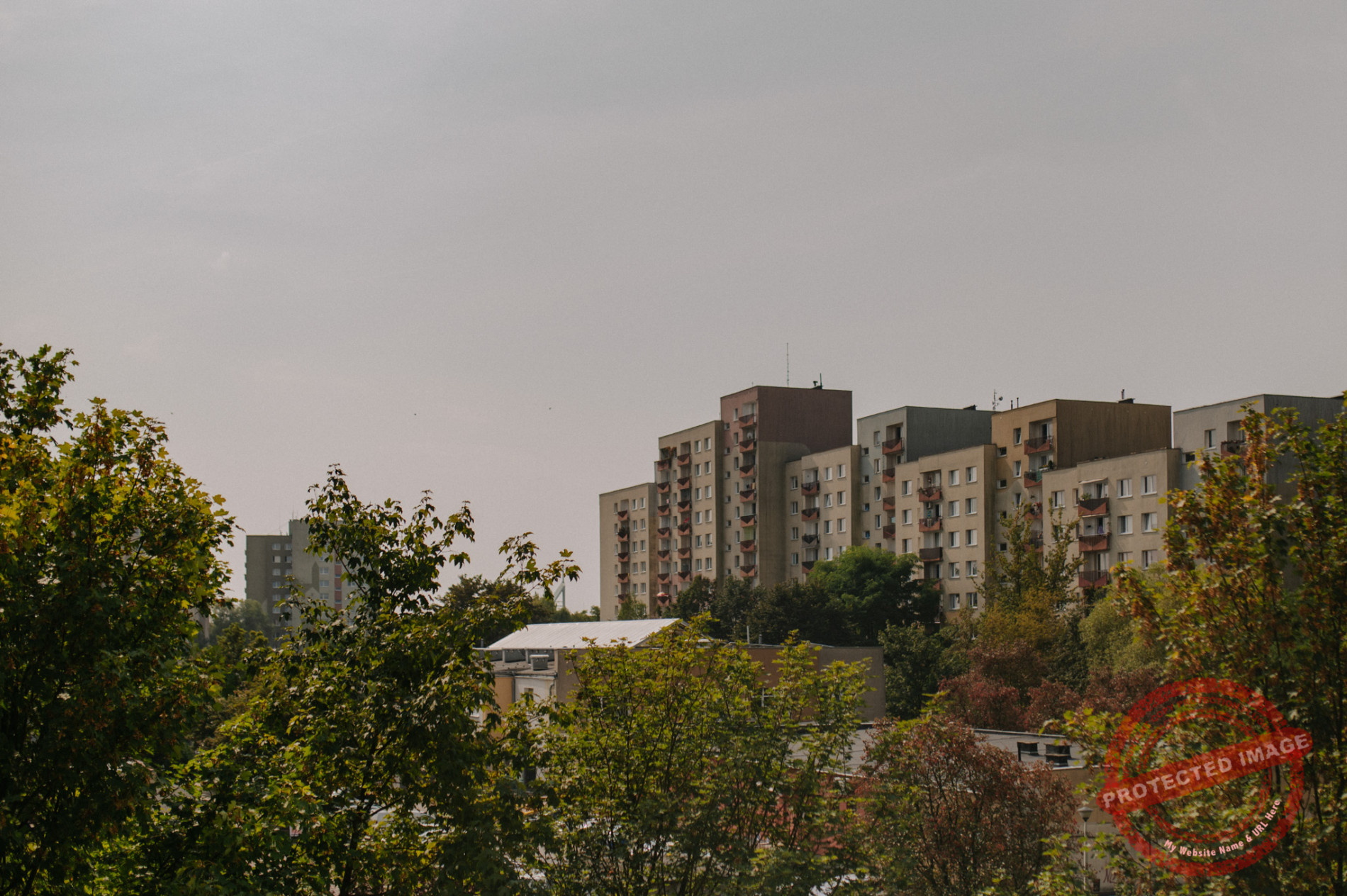 Dagmara + Patryk | Wichrowe Wzgórze Zawada