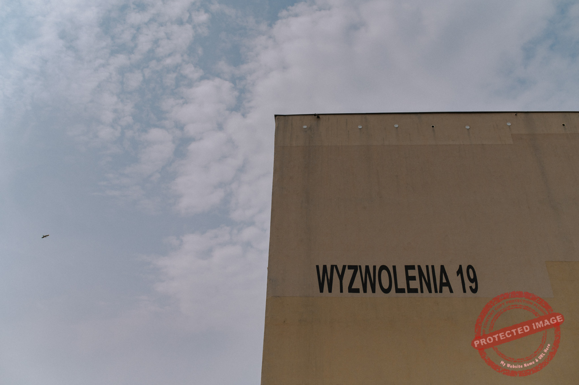 Dagmara + Patryk | Wichrowe Wzgórze Zawada