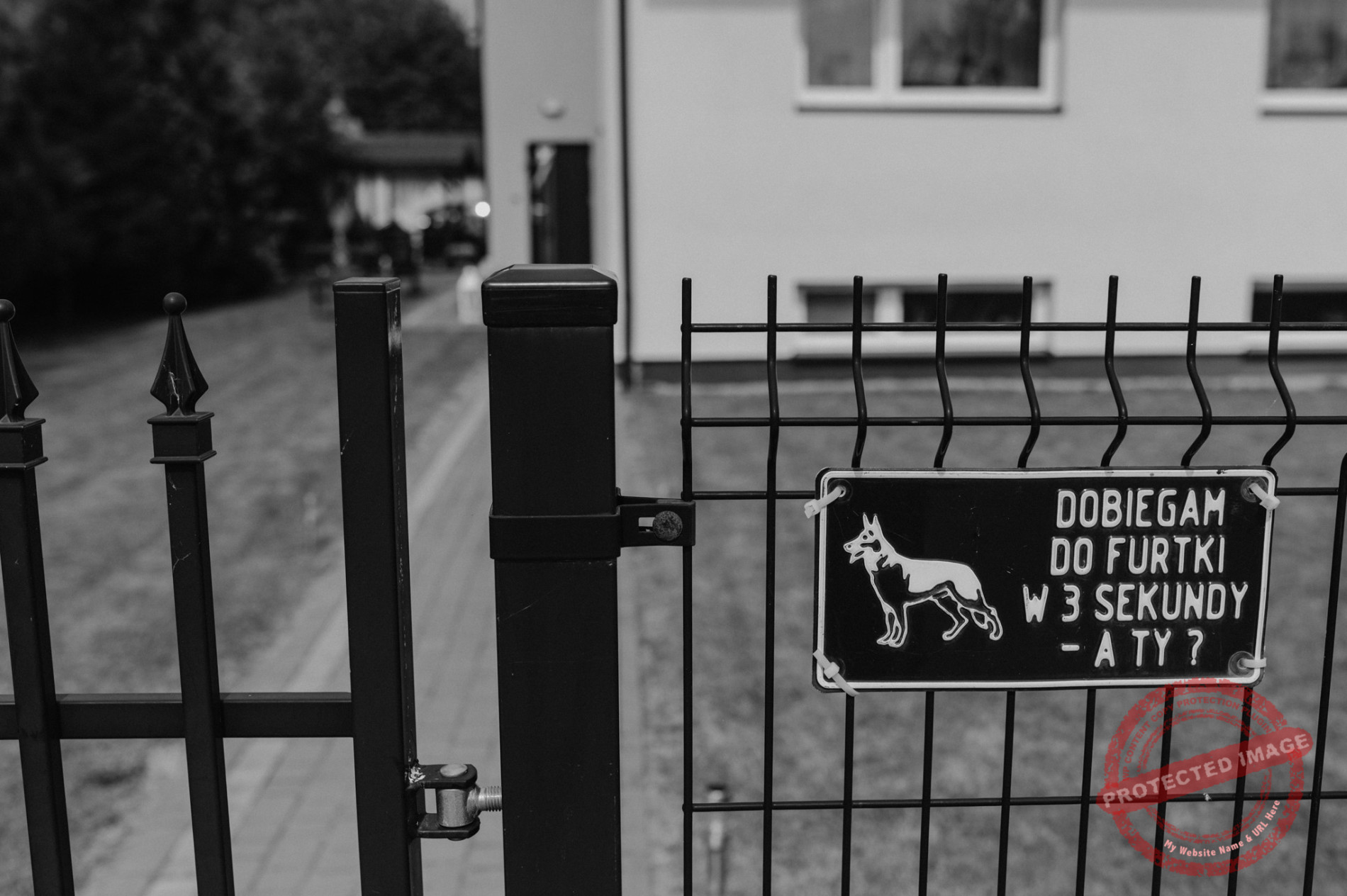 Dagmara + Patryk | Wichrowe Wzgórze Zawada