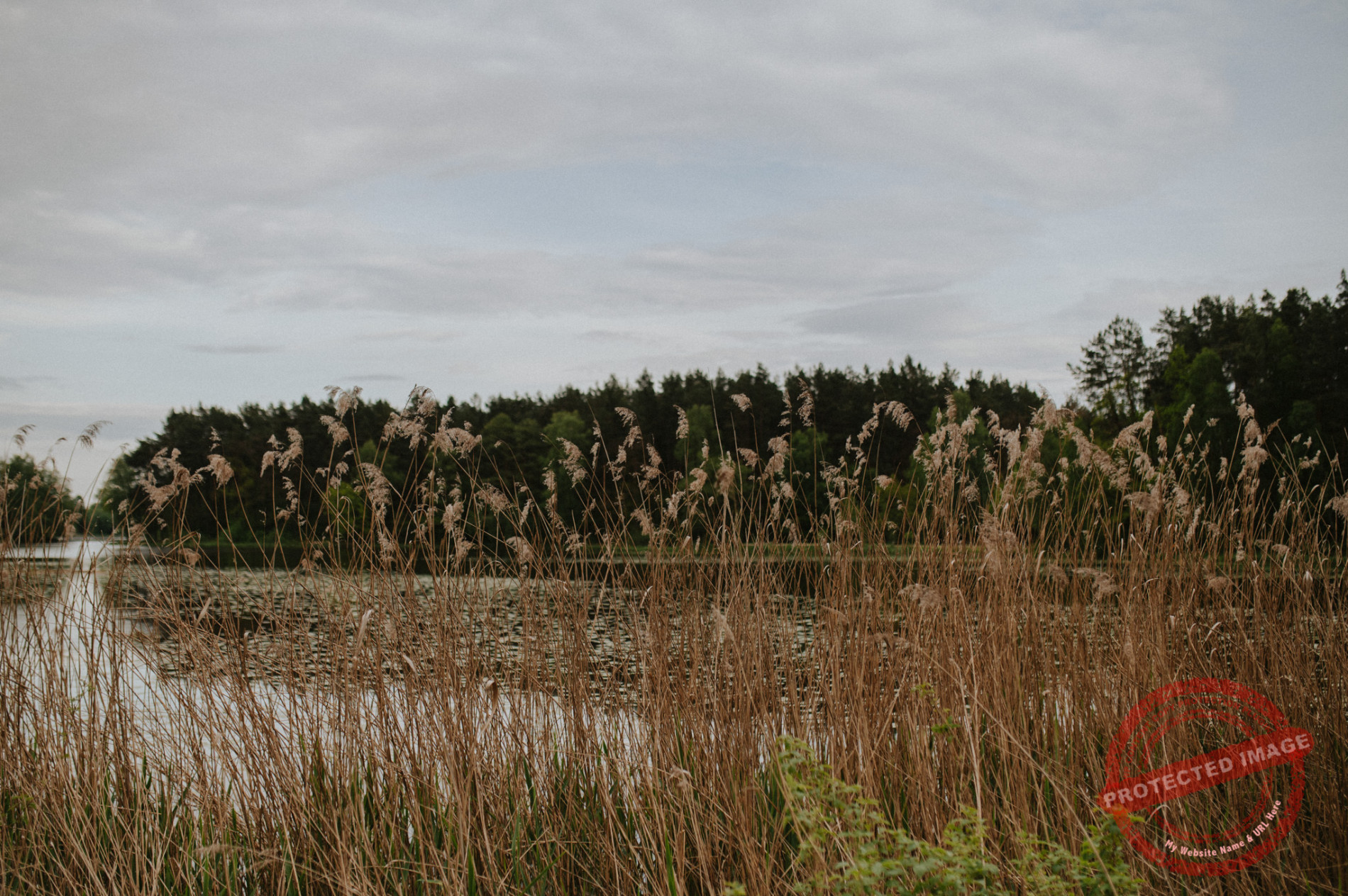 Anna + Daniel | Sesja narzeczeńska Zalew Blachownia