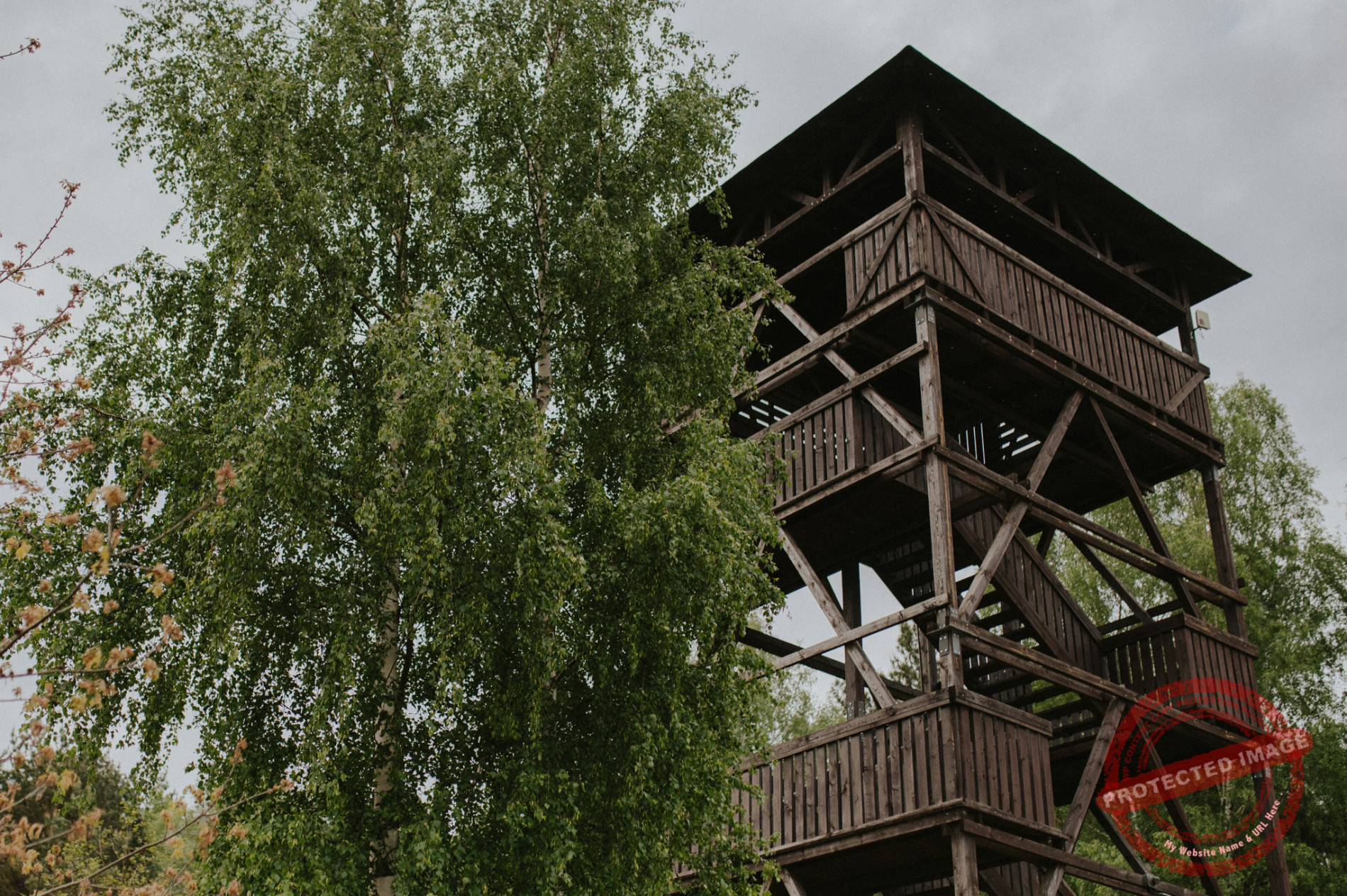 Anna + Daniel | Sesja narzeczeńska Zalew Blachownia