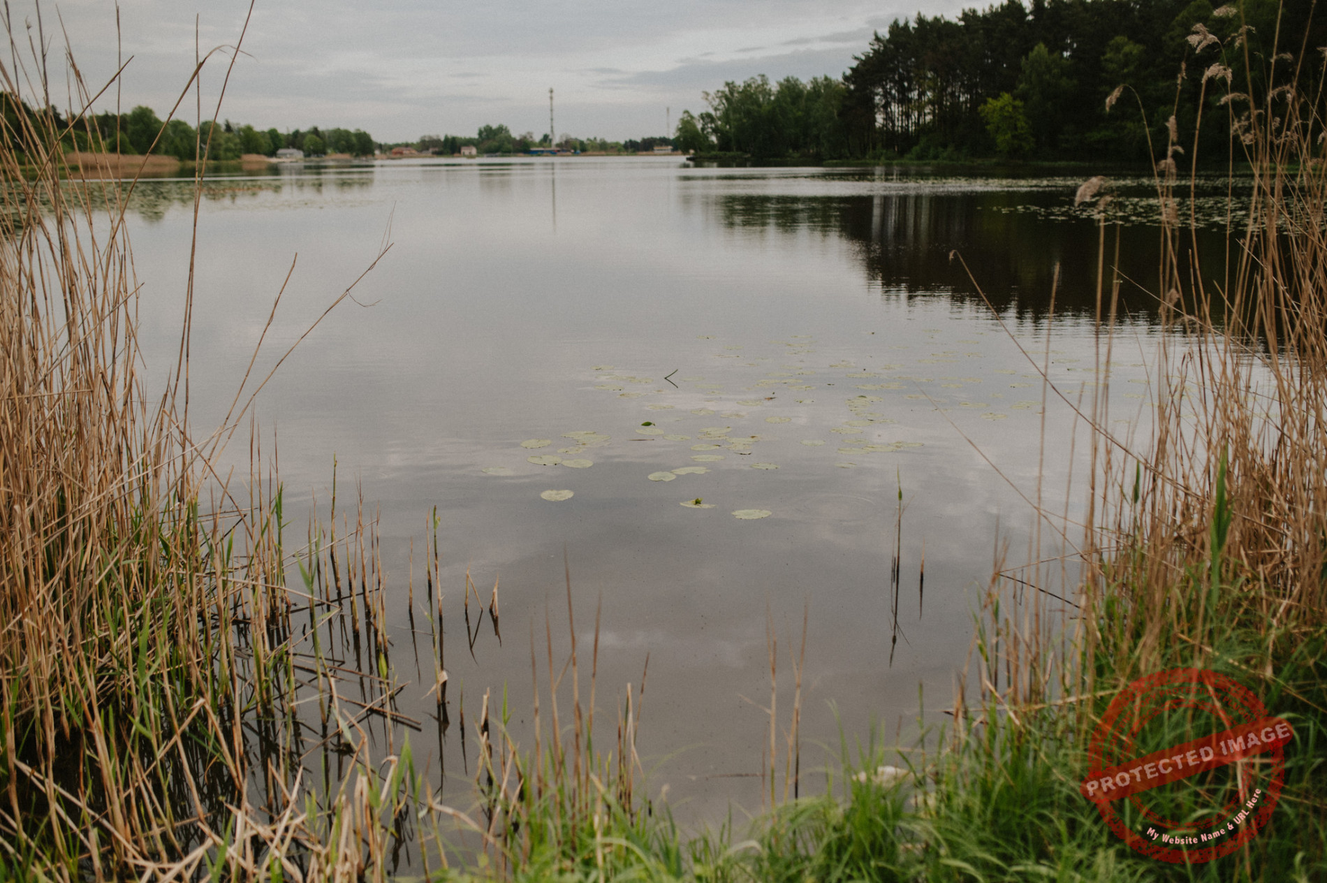 Anna + Daniel | Sesja narzeczeńska Zalew Blachownia