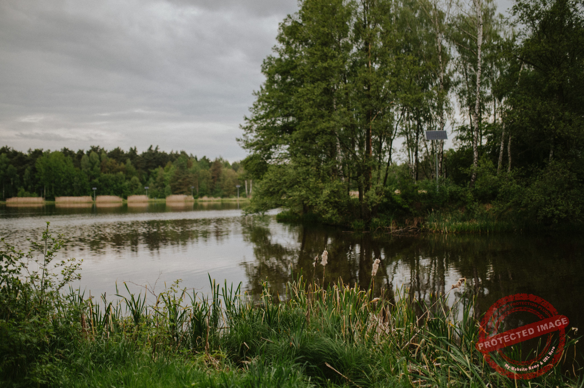 Anna + Daniel | Sesja narzeczeńska Zalew Blachownia