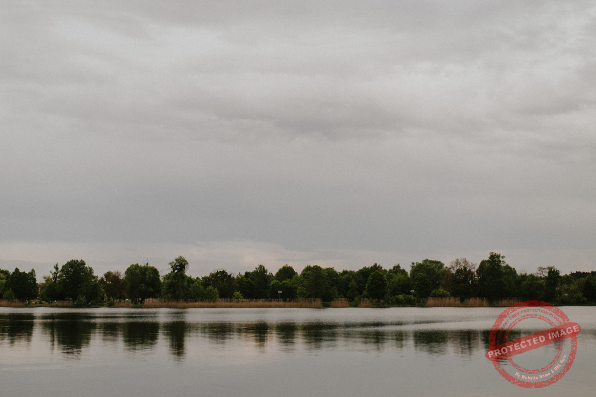 Anna + Daniel | Sesja narzeczeńska Zalew Blachownia