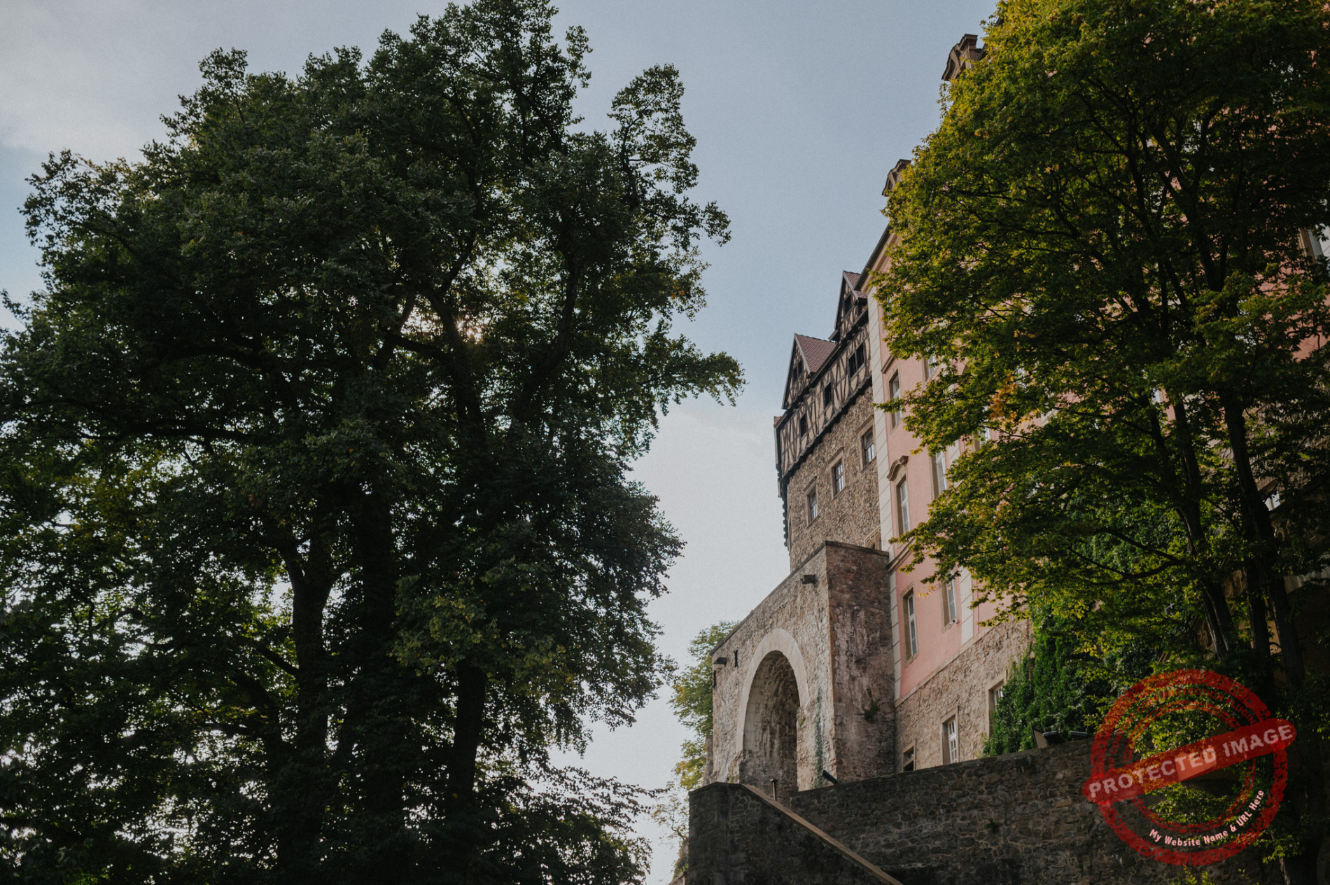 Aleksandra + Michał | Sesja ślubna Zamek Książ